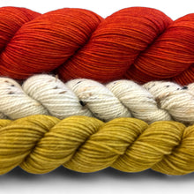 Today’s Feature 12.16.25 Picking Flowers