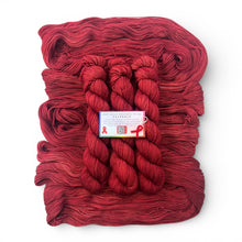 Searching For A Cure - December 2025 Cancer Awareness Series Full Hanks