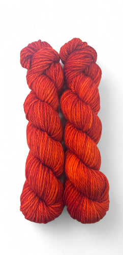 Amber Solstice (Atwood)