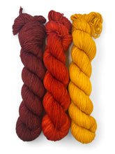 Today’s Feature 10.17.25 Fall Trio