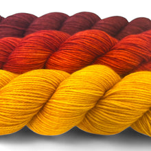 Today’s Feature 10.17.25 Fall Trio