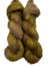 Cavendish (Brontë)