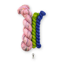 Today’s Feature 12.16.25 Picking Flowers