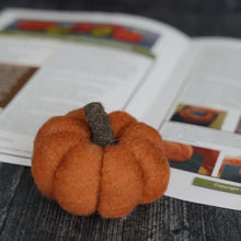 Bear Creek Needle Felting Kits