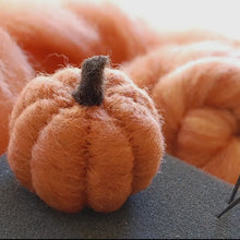 Bear Creek Needle Felting Kits