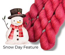 Today's Feature 12.2.25 Snow Day