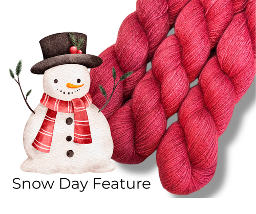 Today's Feature 12.2.25 Snow Day