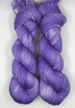 Heliotrope (The Beast)